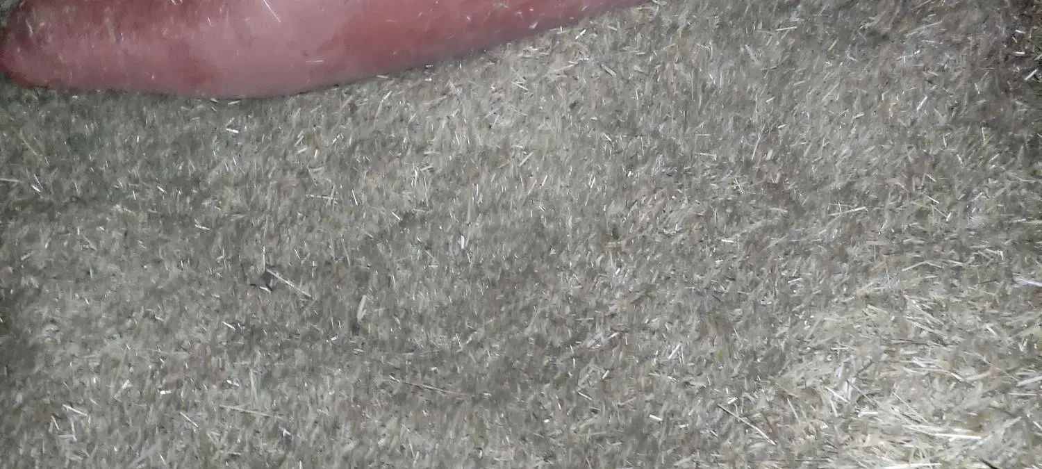 علف و یونجه اول بر.|لوازم جانبی حیوانات|مریوان, |دیوار