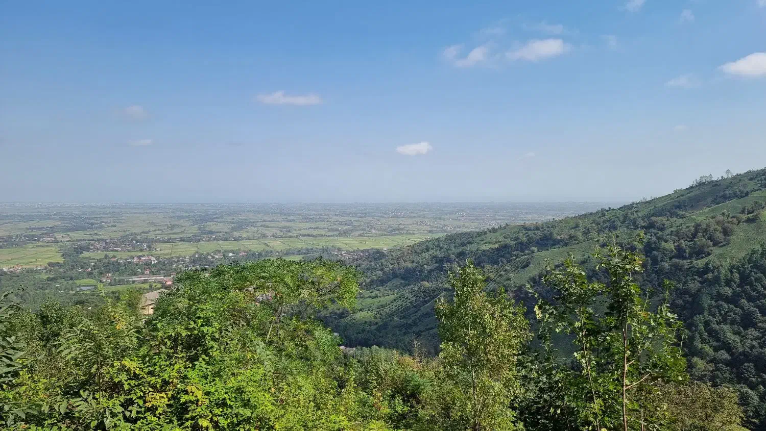 بلندترین نقطه ویو جنگل و دریا و تمام شهرهای با سند|فروش زمین و ملک کلنگی|چابکسر, |دیوار