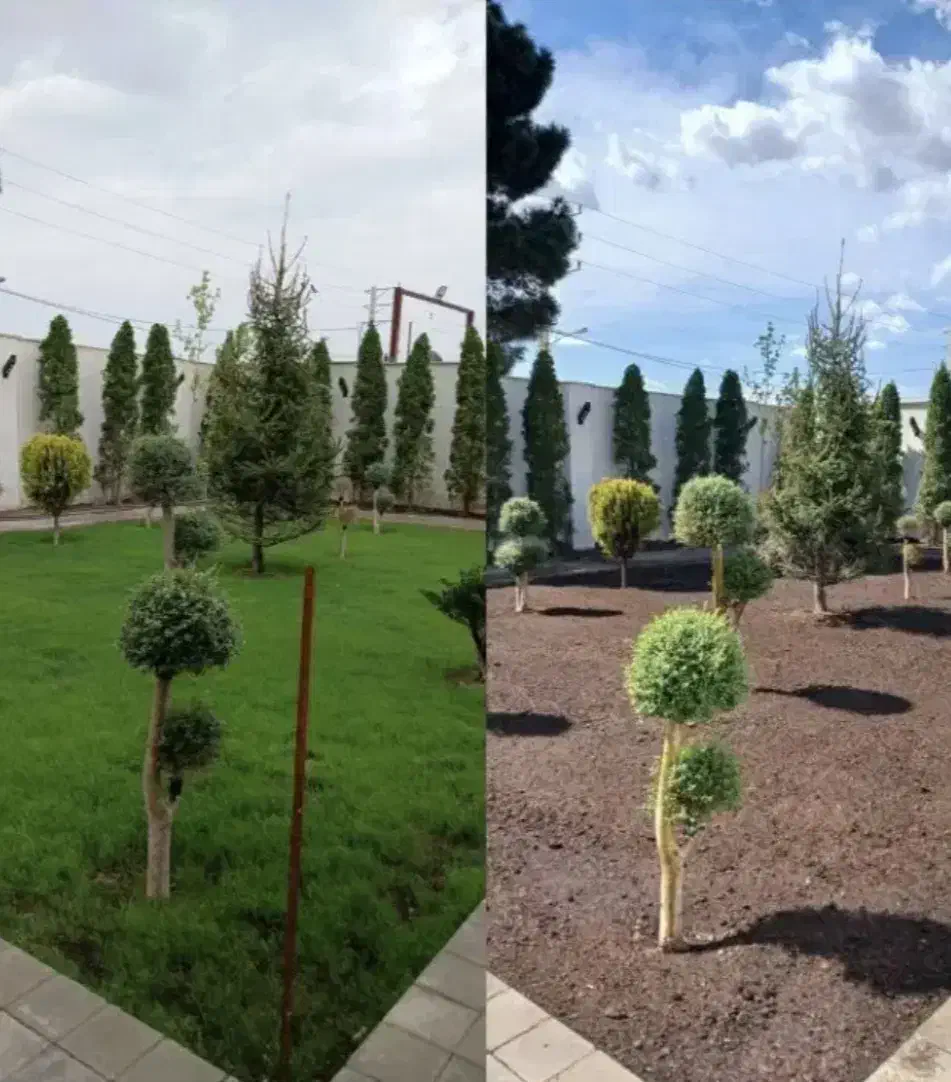 خدمات باغبانی گلکاری باغچه کاری تعویض خاک گلدون گل|خدمات باغبانی و درختکاری|تهران, شهرک غرب|دیوار