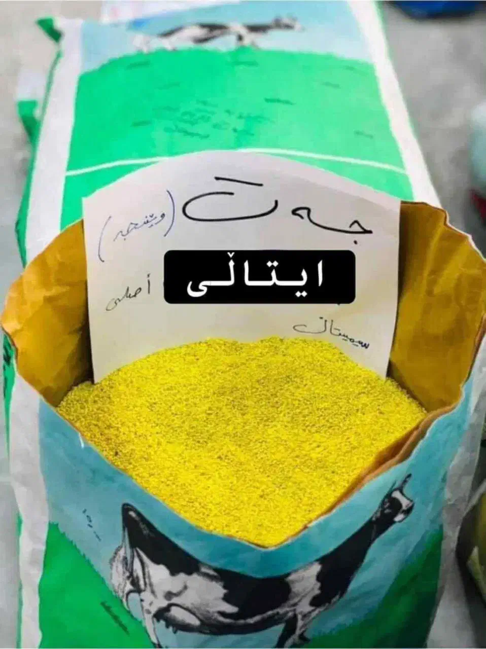 بذر یونجه ایتالیایی|گل و گیاه طبیعی|سرپل ذهاب, |دیوار