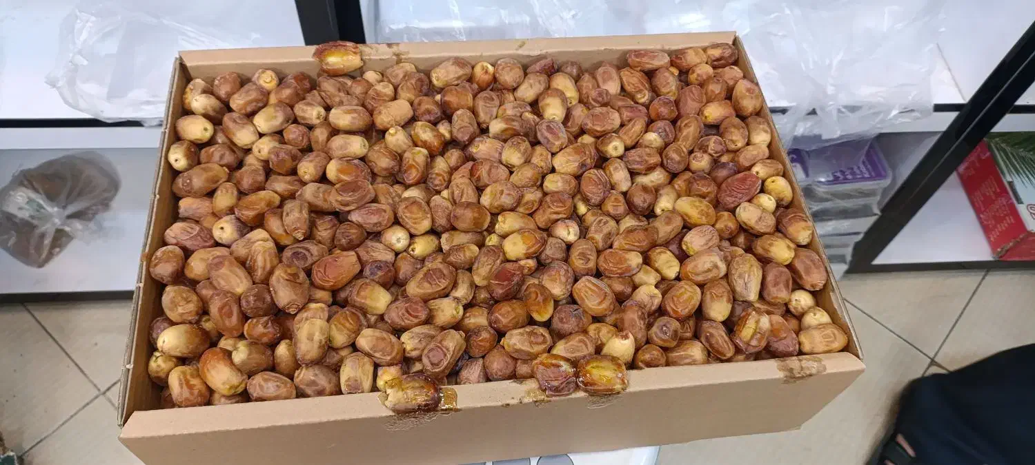 خرما و رطب|خوردنی و آشامیدنی|تهران, تختی|دیوار