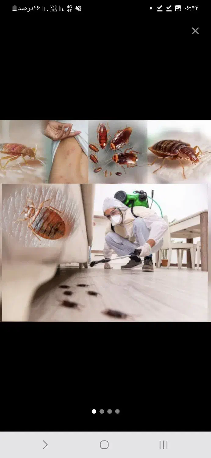 سم پاشی حشرات و موش و ..تضمینی و تخصصی|خدمات نظافت|کرمان, |دیوار