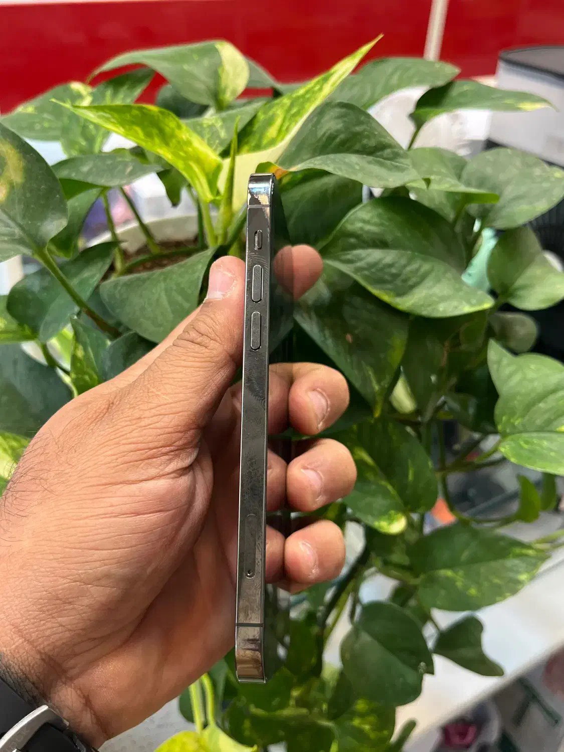 Iphone 12pro|موبایل|شیراز, زند|دیوار