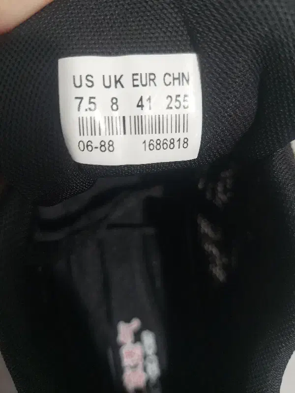 کفش کتانی مستر|کیف، کفش، کمربند|بوشهر, |دیوار