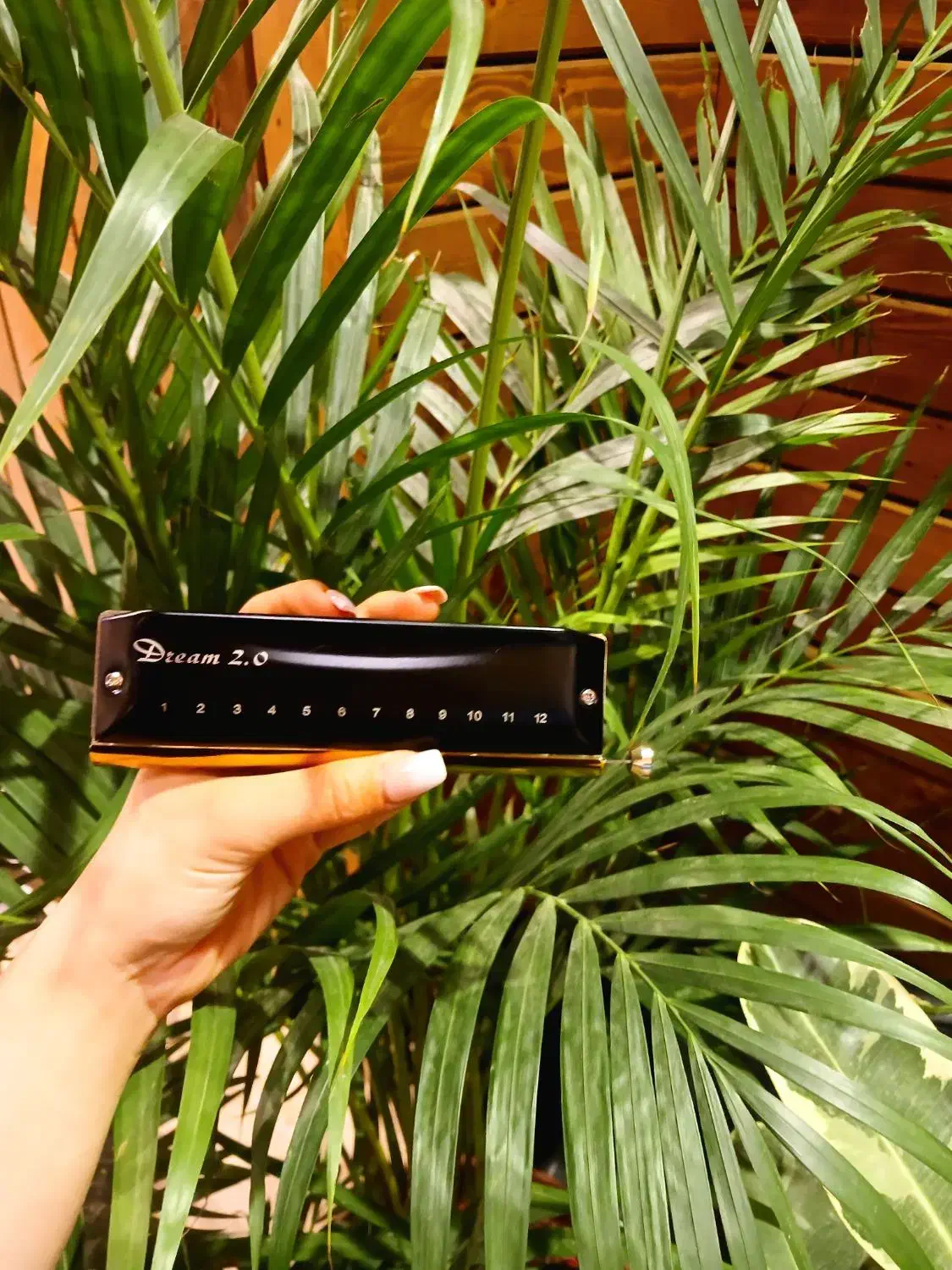 هارمونیکا ایستاپ|سازهای بادی|قزوین, |دیوار