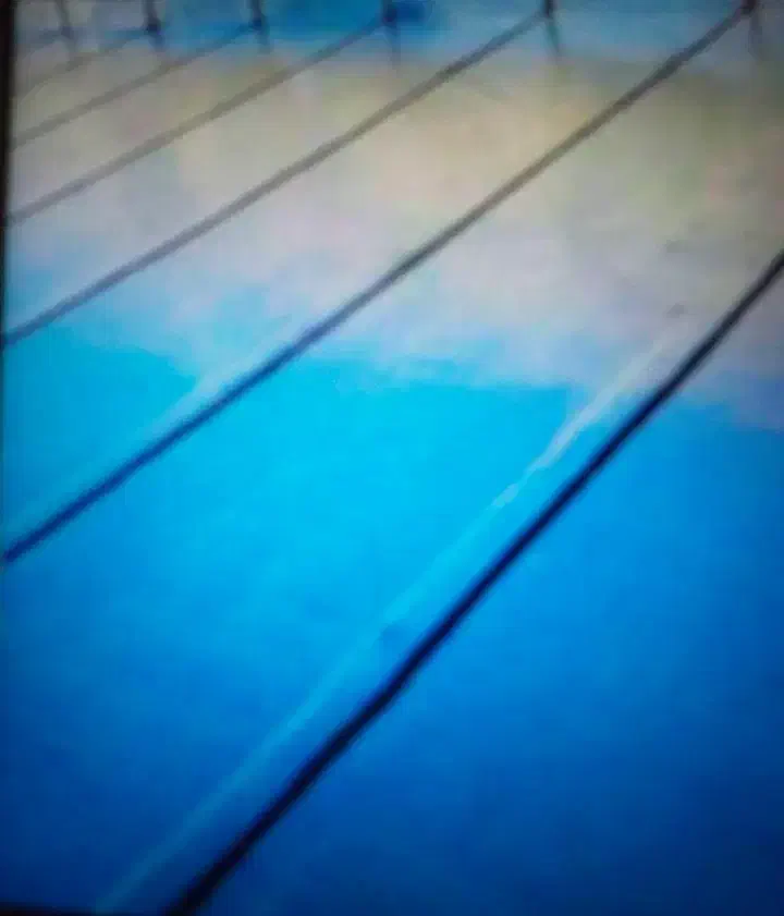 فروش و اجرای ایزوگام تمام شهرهای مازندران|خدمات پیشه و مهارت|بابلسر, |دیوار