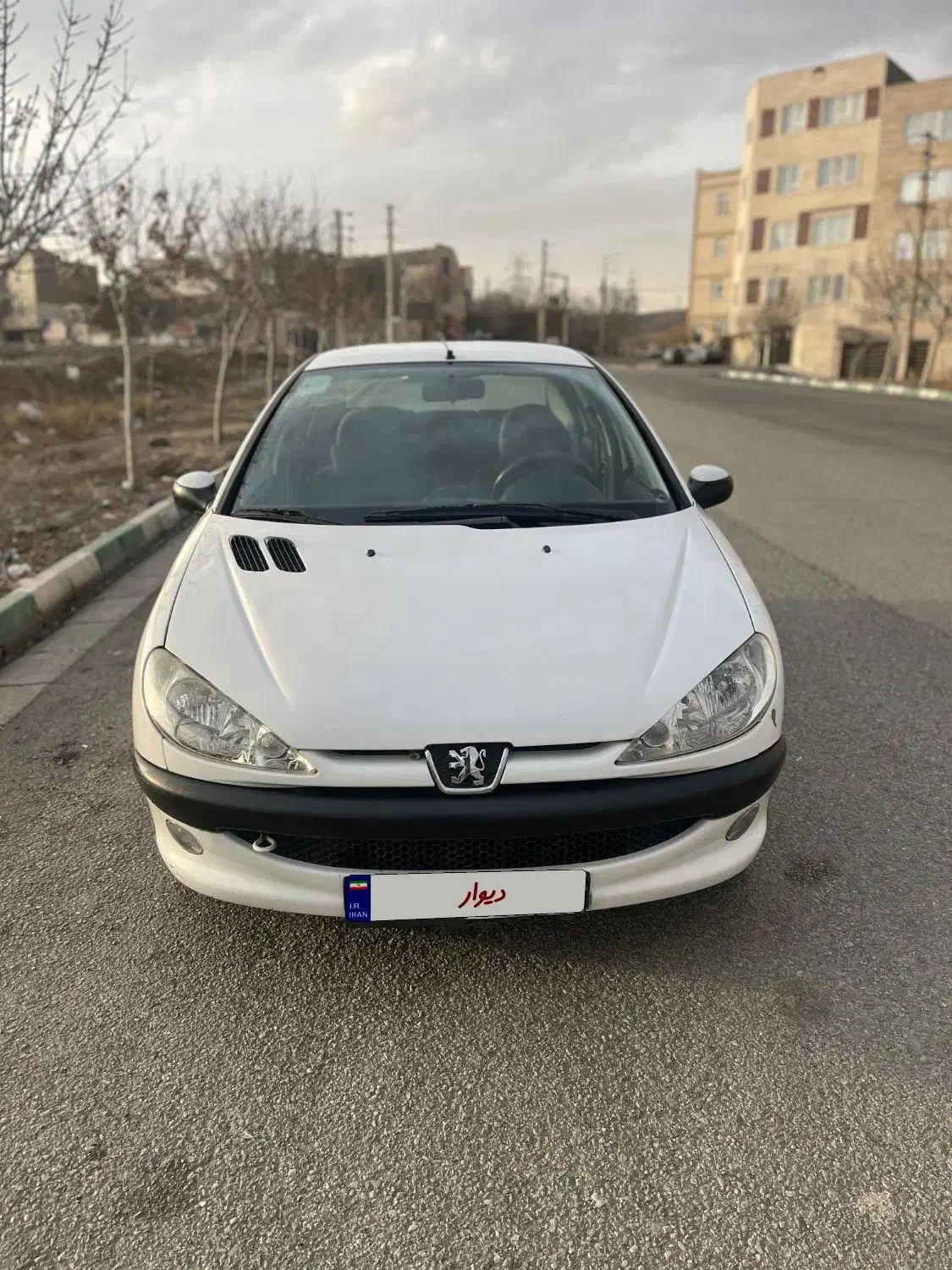 206 SD V8|خودرو سواری و وانت|کرج, باغستان|دیوار