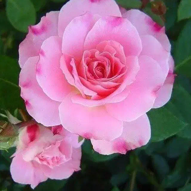 کامیونت 6 تن ،راهنمایی،قصدی|خودرو سنگین|تفت, |دیوار