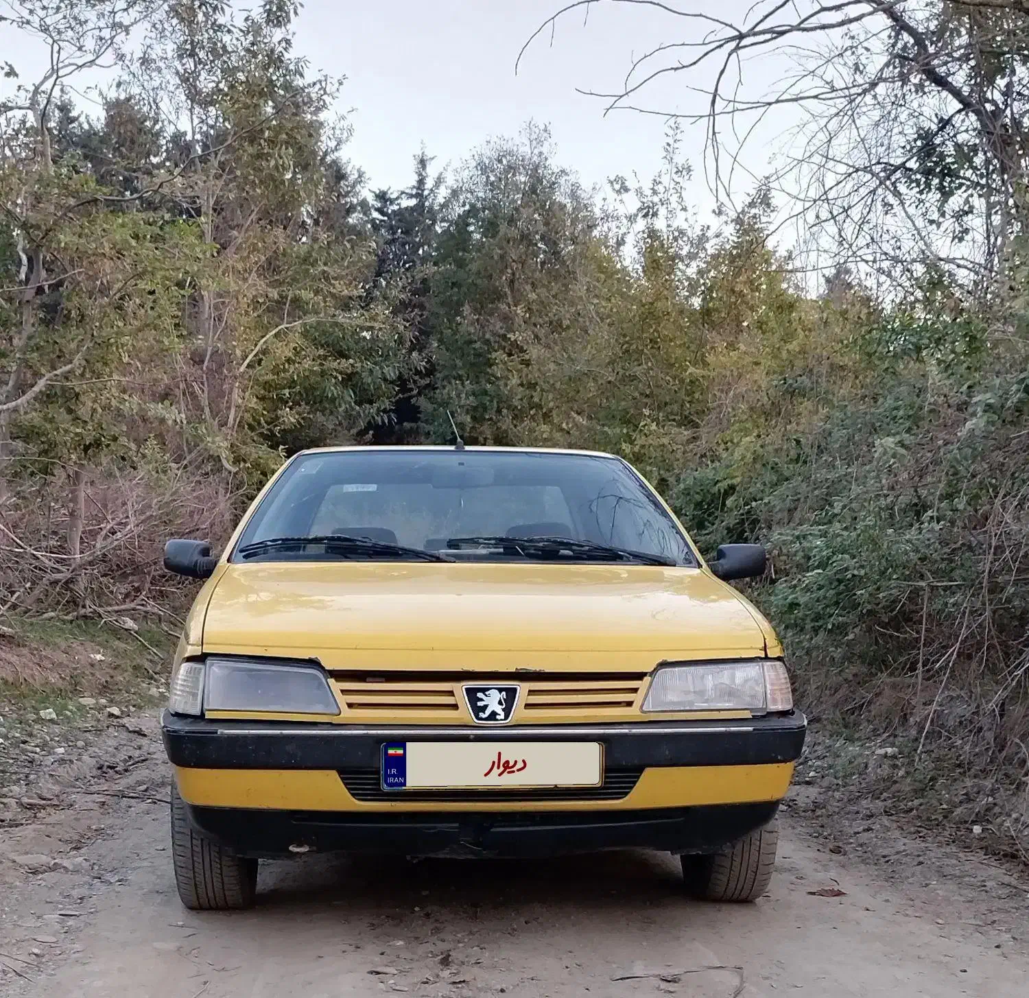 تاکسی پژو 405|خودرو سواری و وانت|گرگان, |دیوار