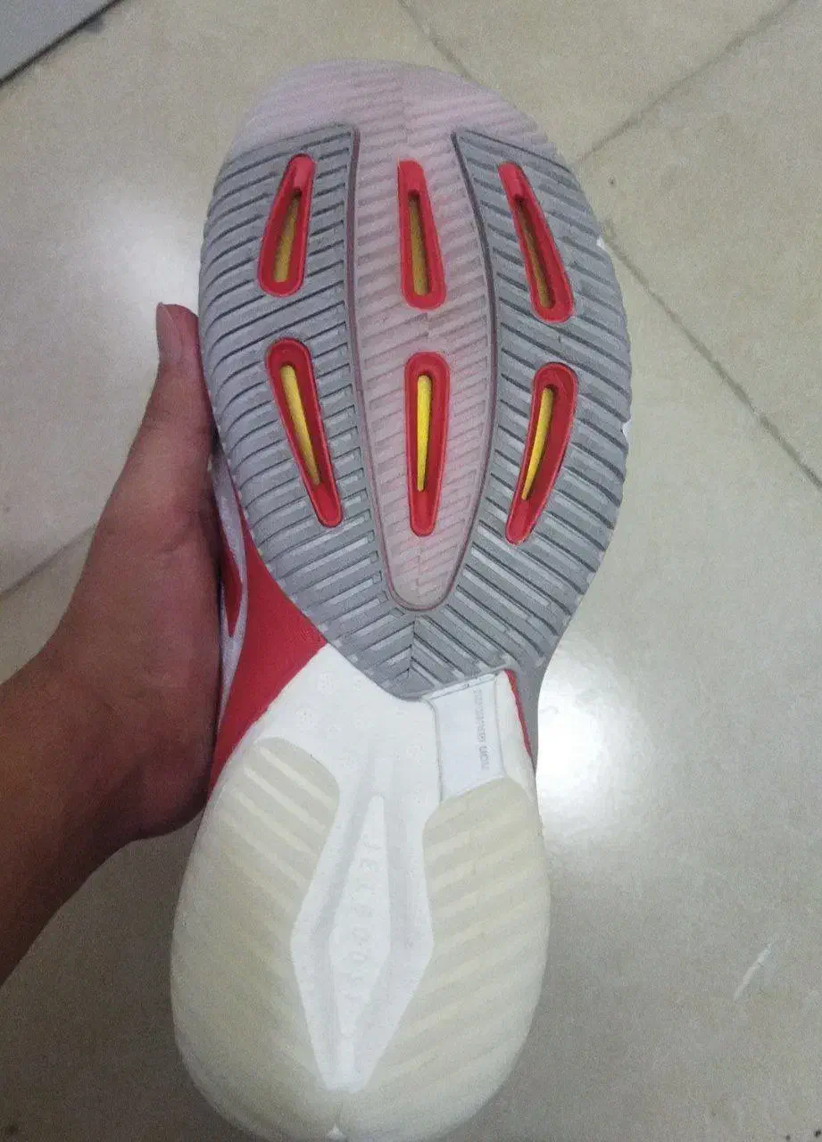 کفش والیبال کریزی فلایت ۵ اورجینال|کیف، کفش، کمربند|رودهن, |دیوار