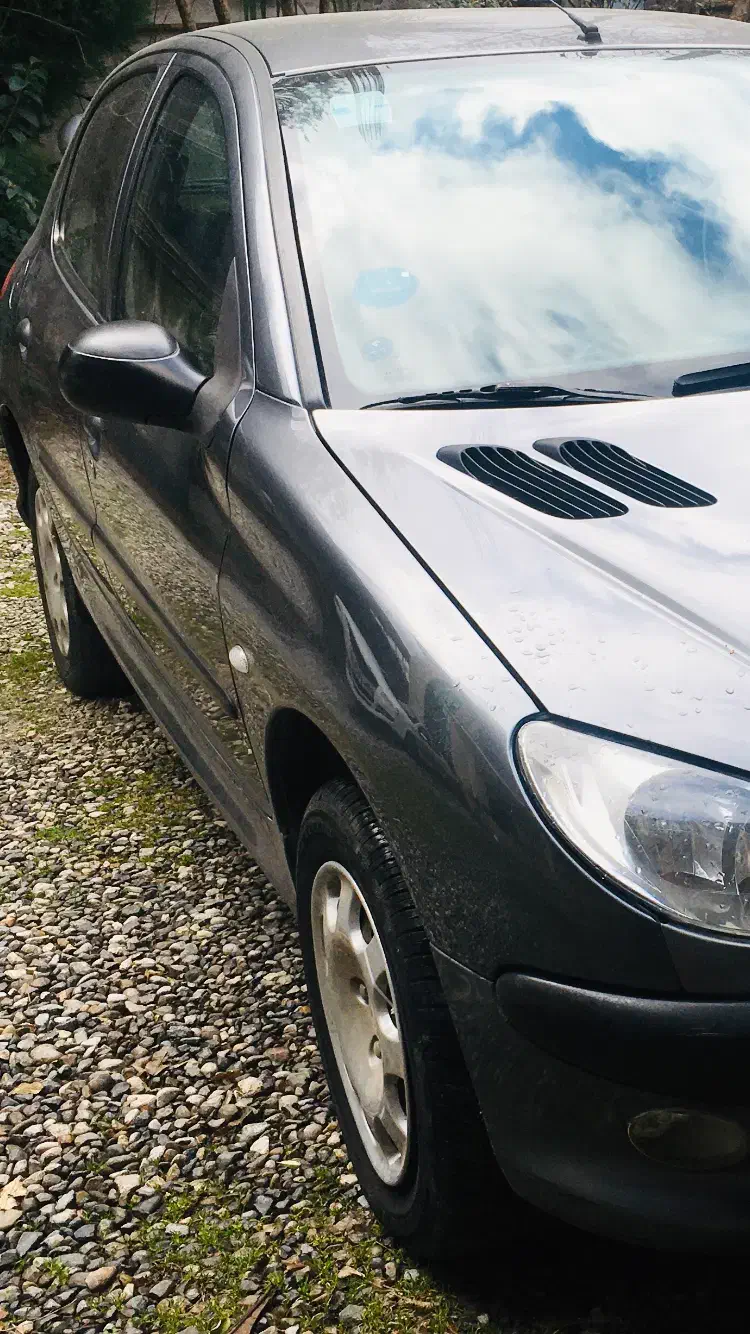 پژو 206 تیپ ۲ مدل ۹۱ بیرنگ|خودرو سواری و وانت|رامسر, |دیوار