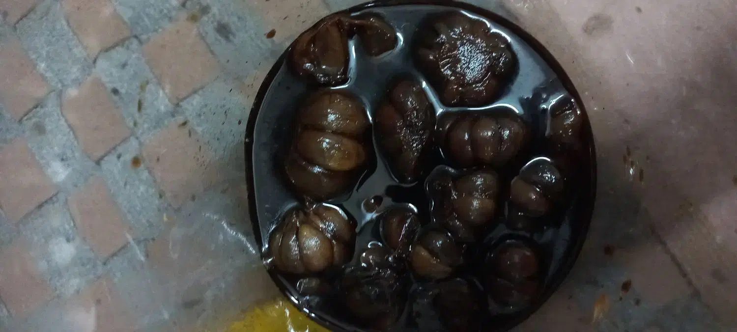 سیرترشی ۸ ساله|خوردنی و آشامیدنی|مزرعه کتول, |دیوار