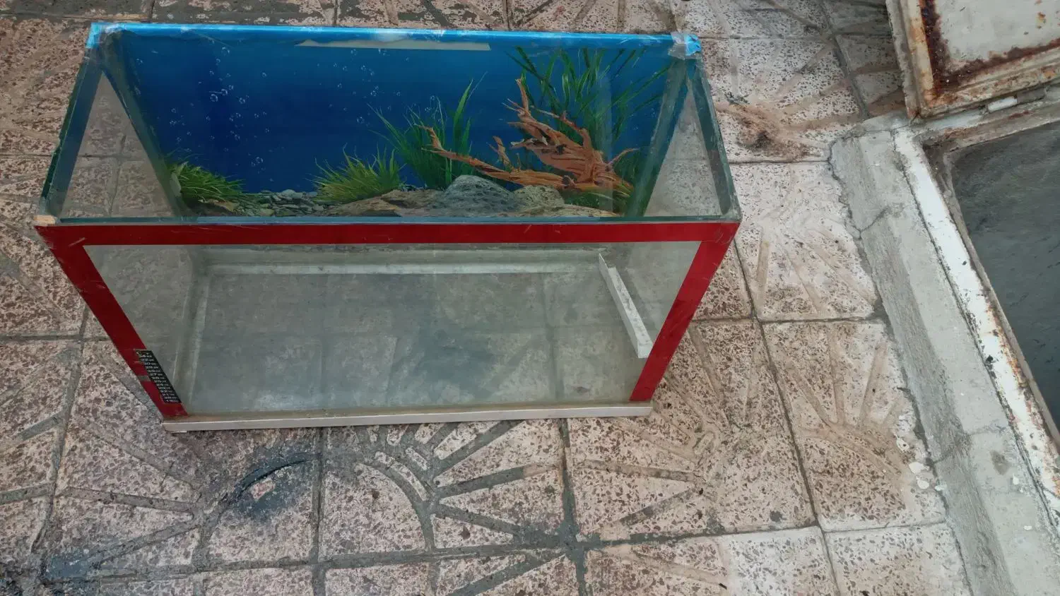 شیشه آکواریوم ماهی|ماهی|کامیاران, |دیوار