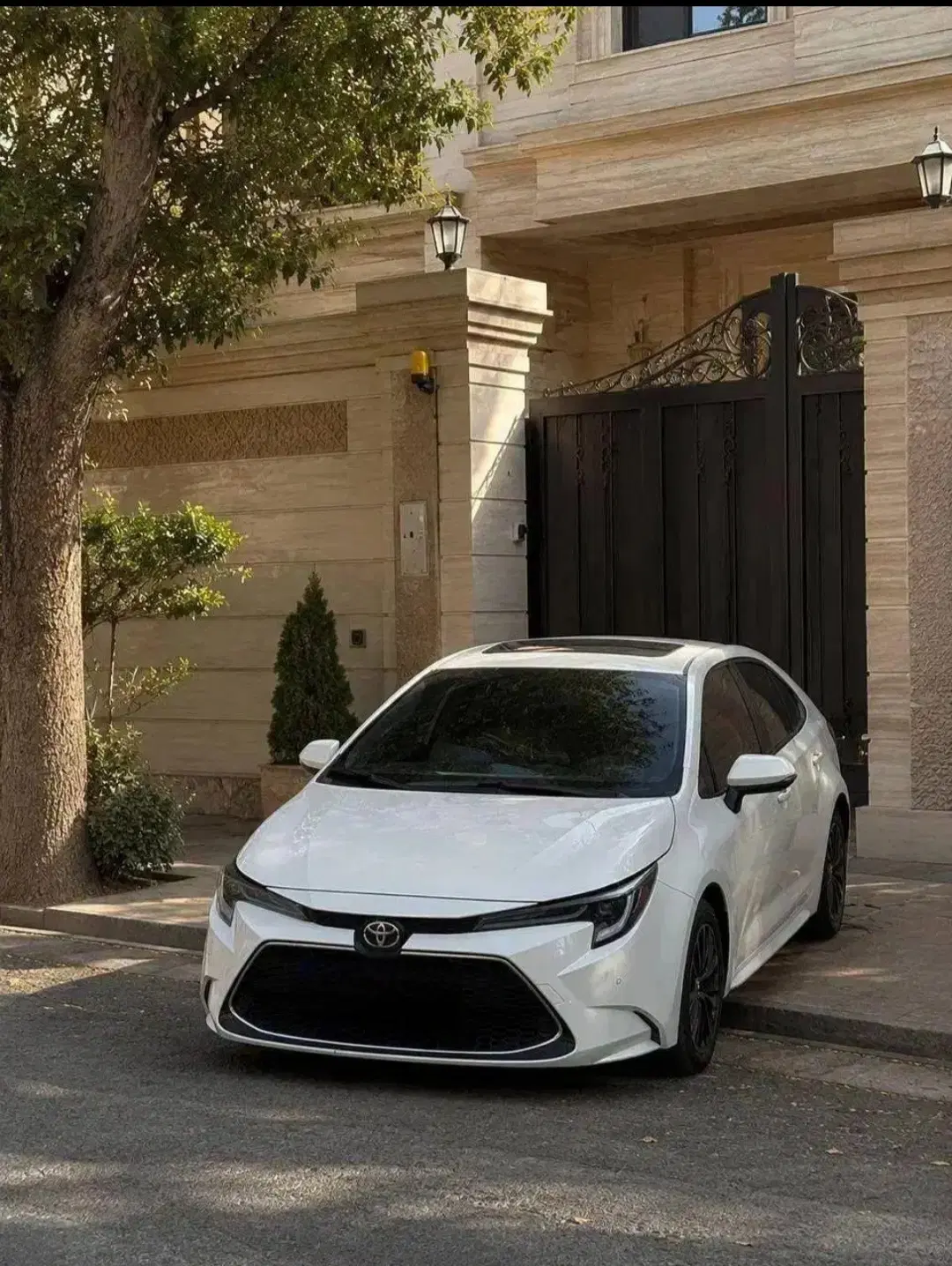 اجاره خودرو/کرایه ماشین TOYOTA LEVIN 2024|خودرو اجارهای|تهران, فرودگاه مهرآباد|دیوار