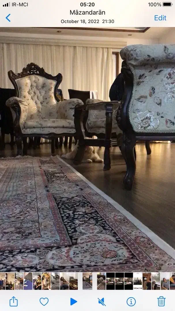 ست مبل و صندلی سلطنتی|مبلمان خانگی و میز عسلی|نوشهر, |دیوار