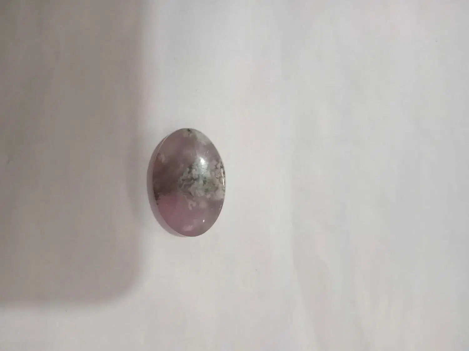 شجر|کلکسیون اشیاء عتیقه|زنجان, |دیوار