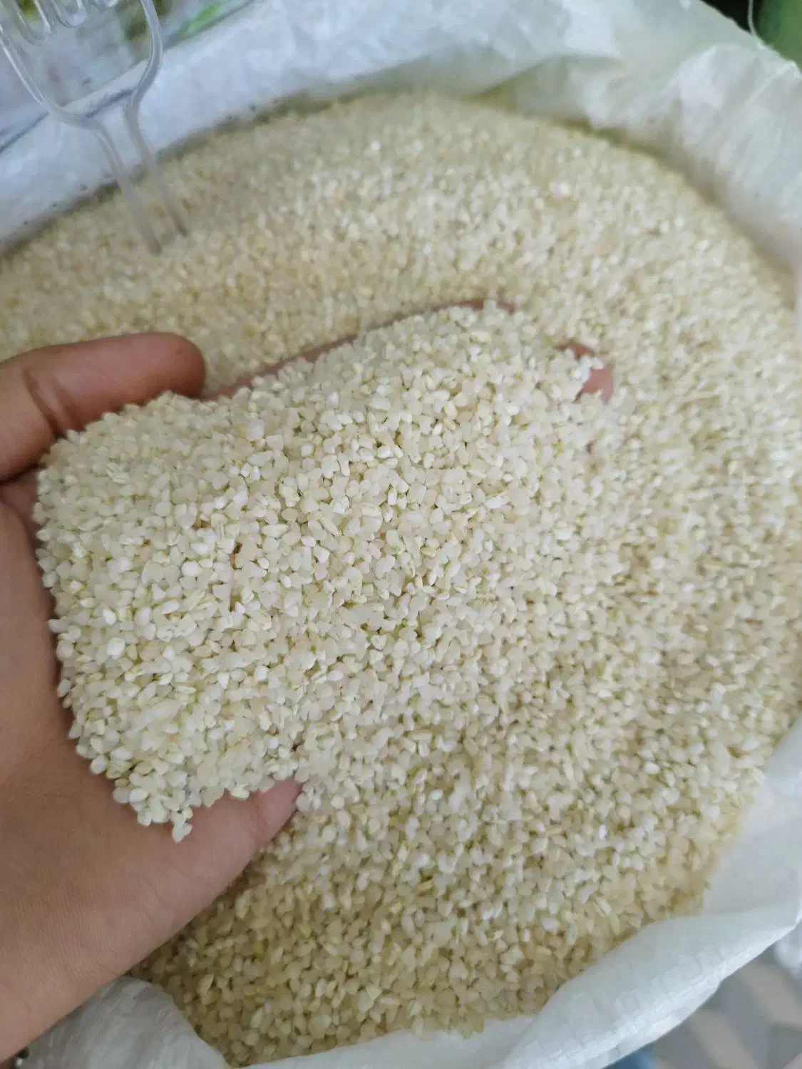 برنج سرلاشه و لاشه هاشمی و نیمدانه ممان میانه عطری|خوردنی و آشامیدنی|زنجان, |دیوار