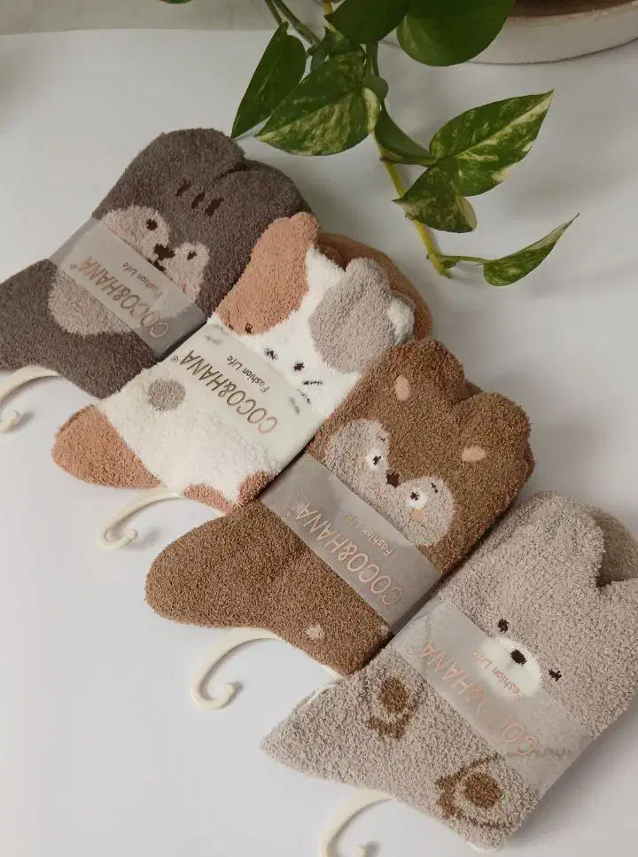 جوراب|لباس|کوهدشت, |دیوار