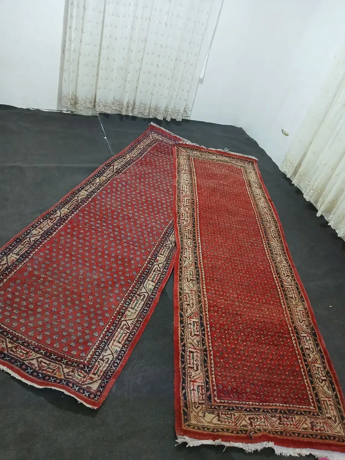 فرش دستبافت ۳متری|فرش|اراک, |دیوار