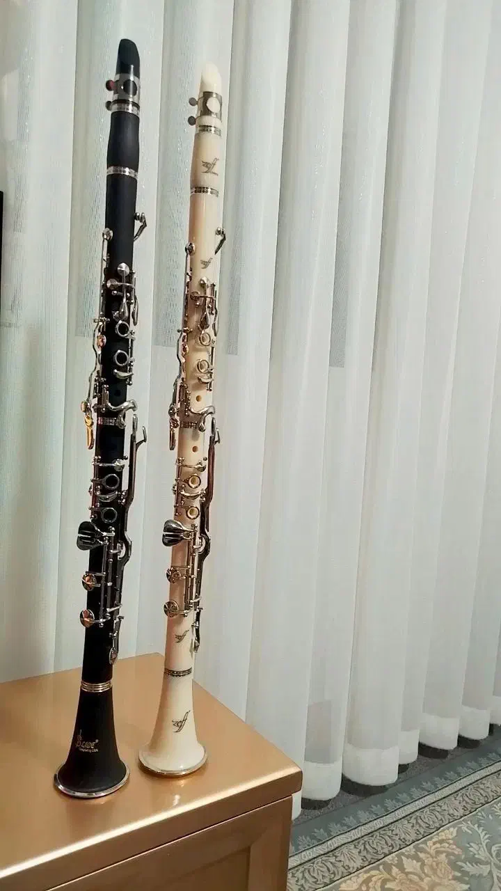 2عدد کلارینت سل آکبند بدون استفاده|سازهای بادی|تهران, آذربایجان|دیوار