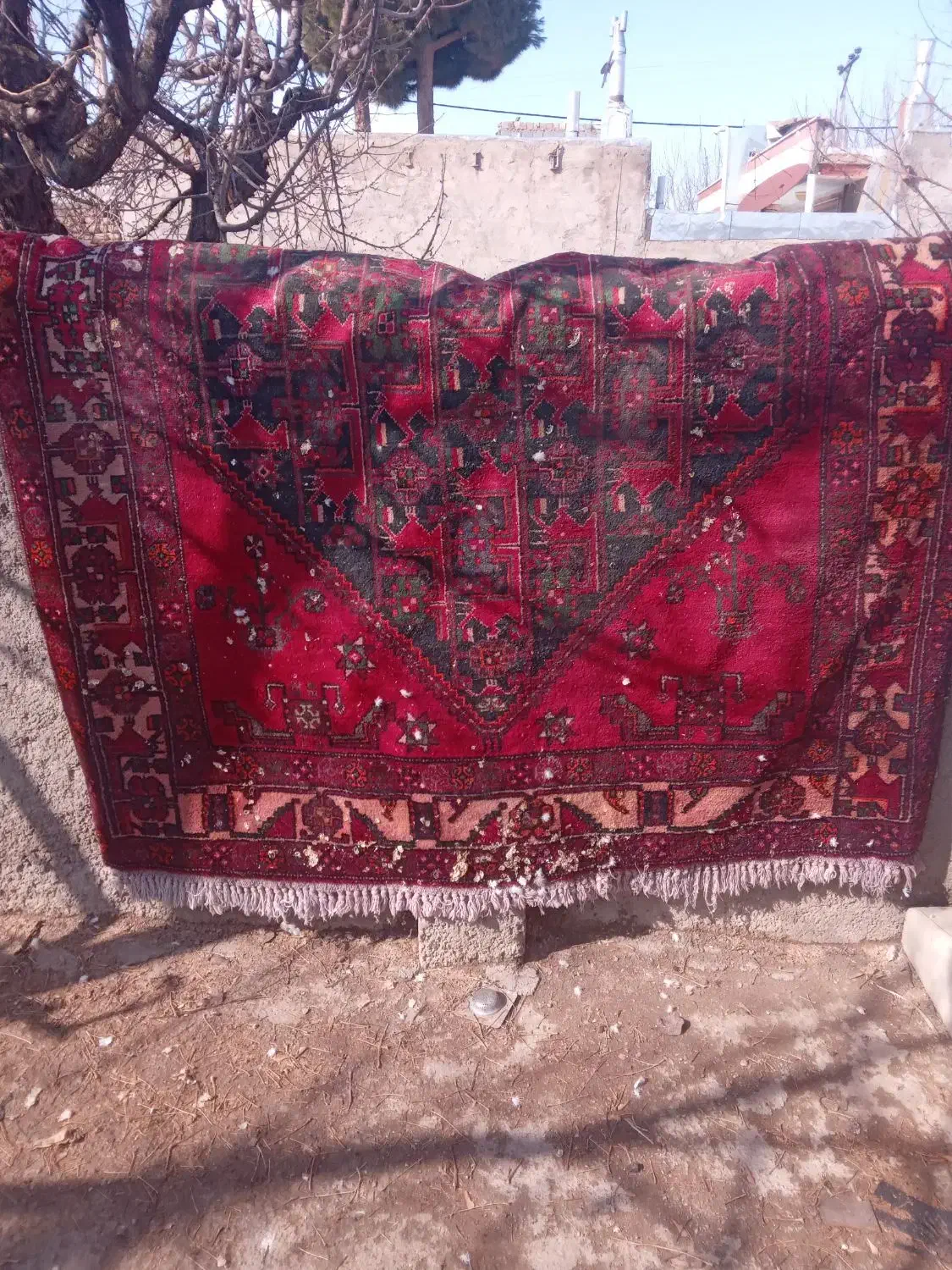 قالی دست بافت|فرش|قوچان, |دیوار