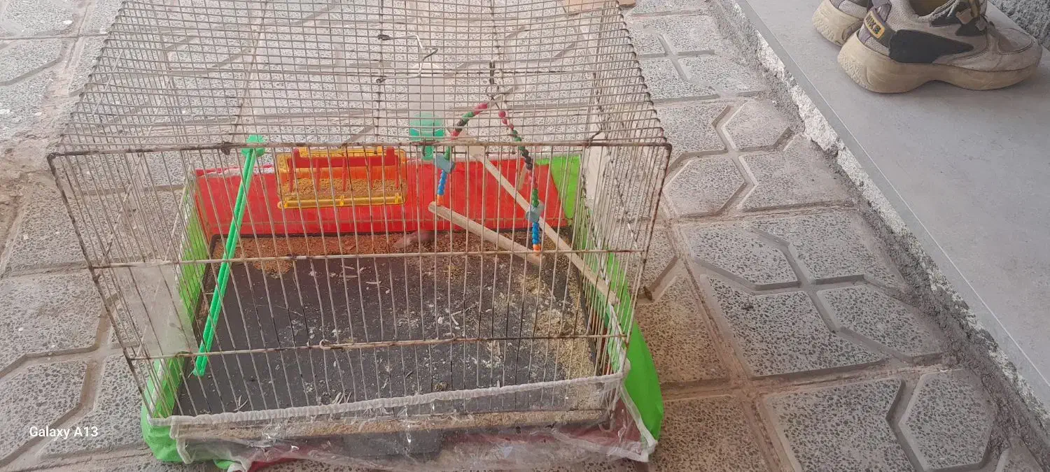 قفس|لوازم جانبی حیوانات|تربت جام, اسماعیل آباد|دیوار