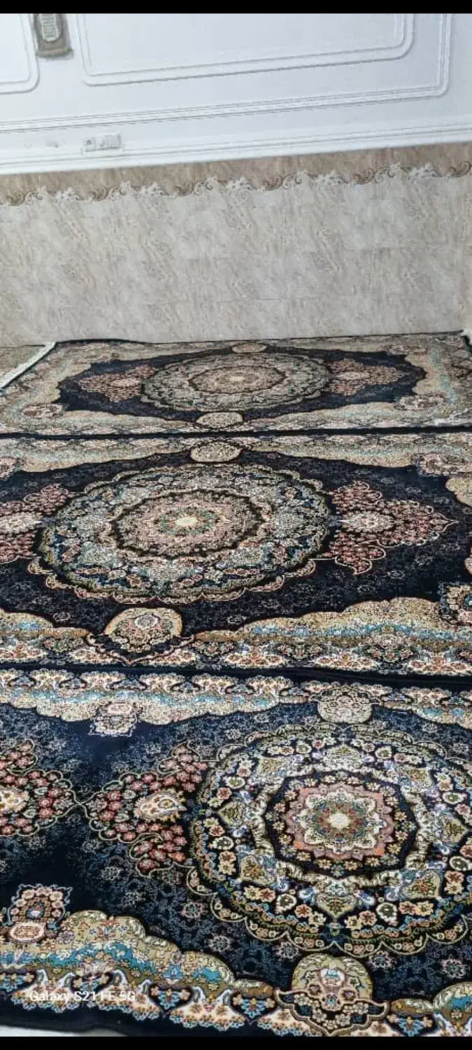فرش شیش متری هفتصد شانه تراکم ۲۵۵۰|فرش|چابهار, |دیوار