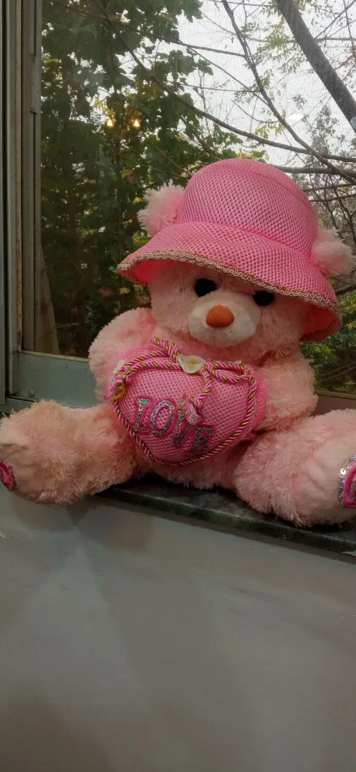 عروسک خرسی ولنتاین|اسباب‌‌بازی|رشت, فلسطین|دیوار