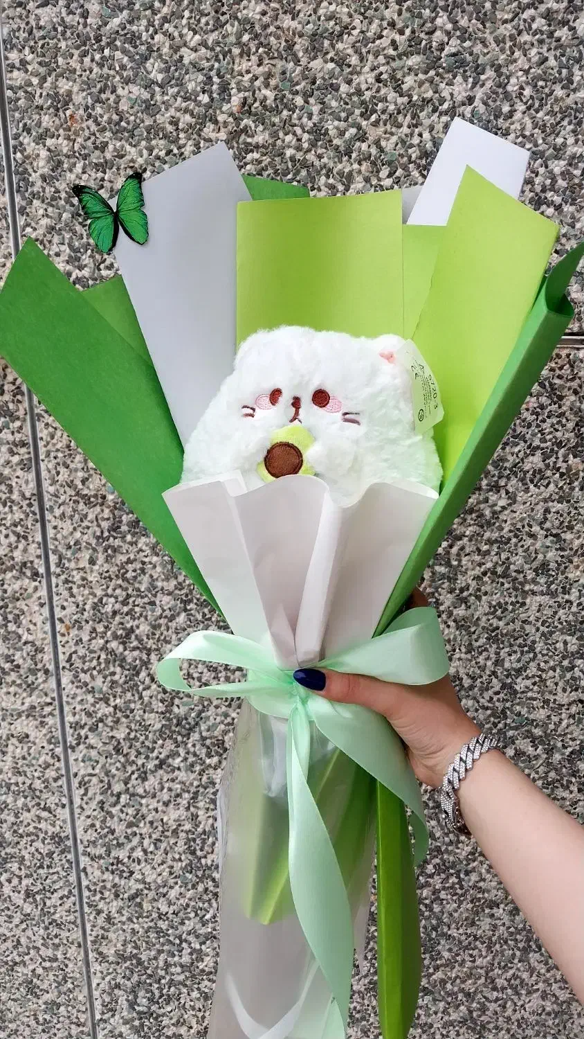 عروسک کادویی|اسباببازی|مشگین شهر, |دیوار