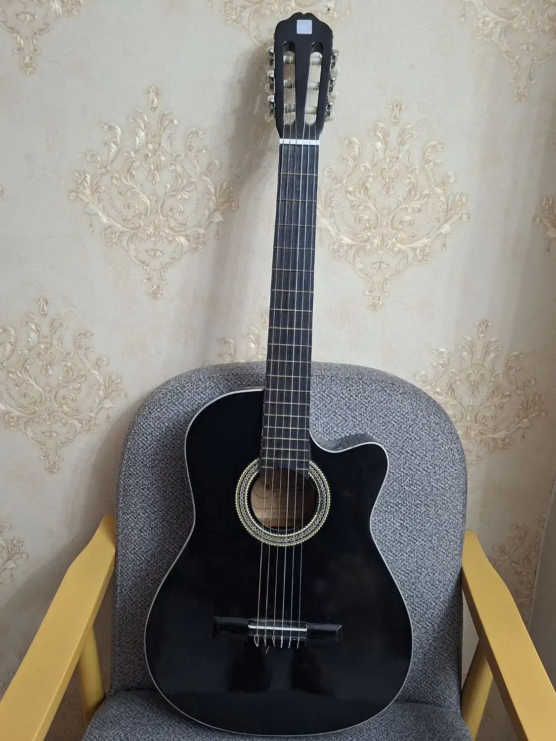 گیتار دیاموند|گیتار، بیس، امپلیفایر|پیشوا, |دیوار