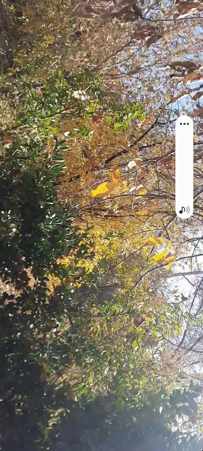 منزل ویلایی فروشی رادکان|فروش خانه و ویلا|رادکان, |دیوار