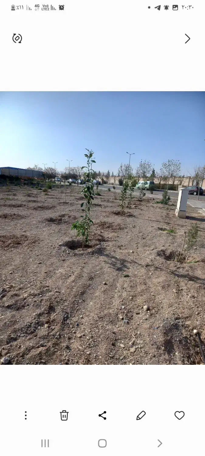 طراحی  فضایی سبز  باغبانی  کاشت  هرس سمپاشی|خدمات باغبانی و درختکاری|قم, پردیسان|دیوار