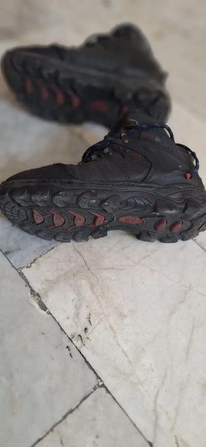 کفش چرمی کوهستان|کیف، کفش، کمربند|مراغه, |دیوار