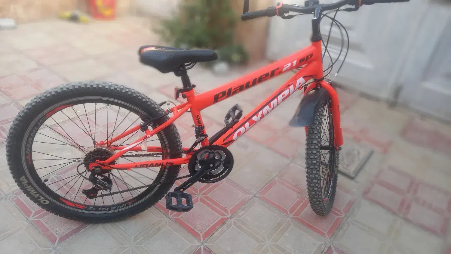 دوچرخه دنده ای المپیا. پــلـاس. سایز 24|دوچرخه، اسکیت، اسکوتر|بیرجند, |دیوار