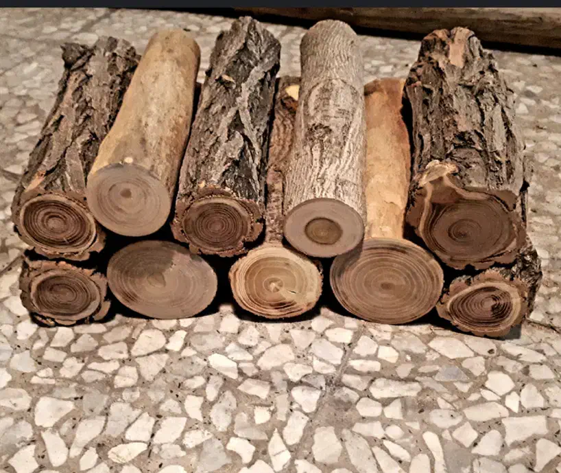 فروش هیزم جنگلی|کوهنوردی و کمپینگ|رویان, |دیوار