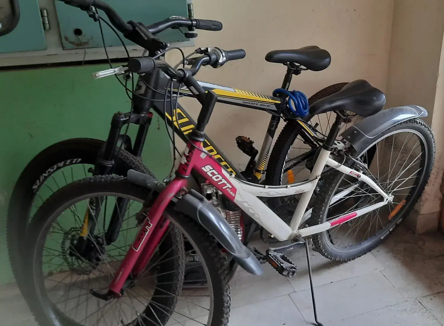 دوچرخه|دوچرخه، اسکیت، اسکوتر|رشت, فلسطین|دیوار