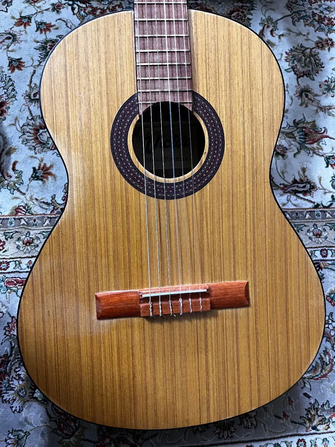 فروش گیتار|گیتار، بیس، امپلیفایر|جهرم, |دیوار