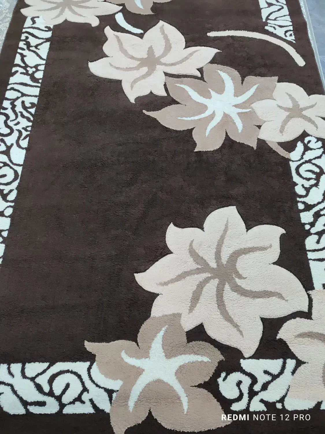 فرش 6متری به همراه پادری|فرش|چالوس, |دیوار