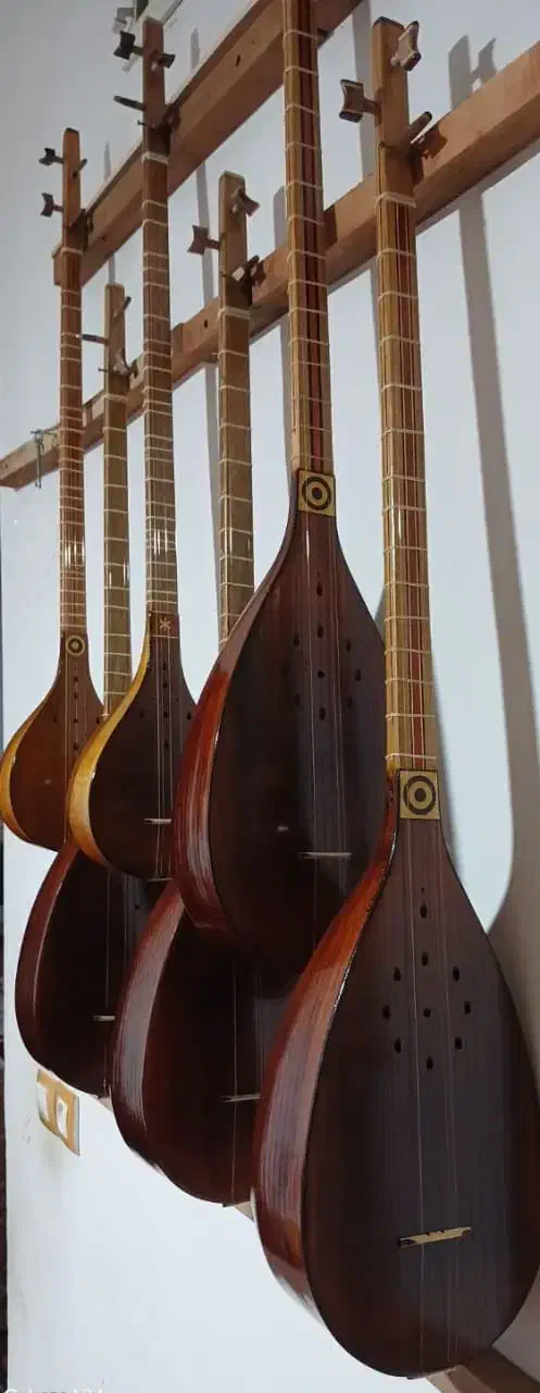 سه تار وتنبور|سازهای سنتی|هشتگرد, اردهه|دیوار