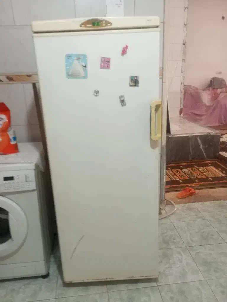 فیریزل ۱۴فوت|یخچال و فریزر|شیراز, شهرک دارایی|دیوار