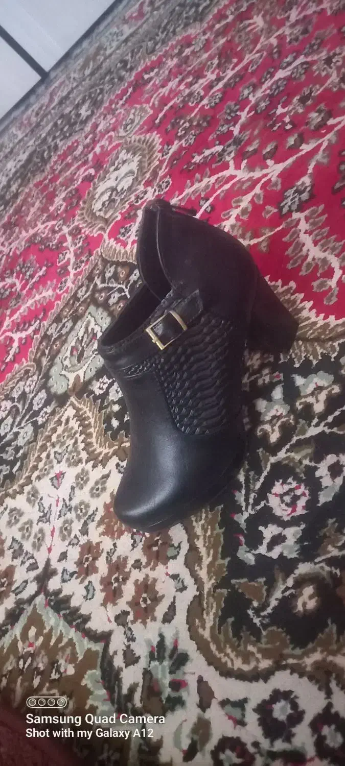 کفش نو نو|کیف، کفش، کمربند|سهند, |دیوار