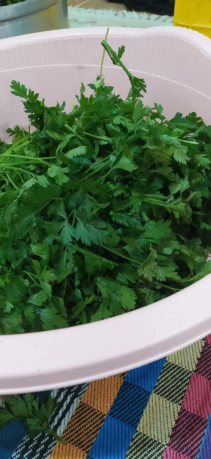 خوردنی سبزی خورشتی|خوردنی و آشامیدنی|کوهدشت, |دیوار