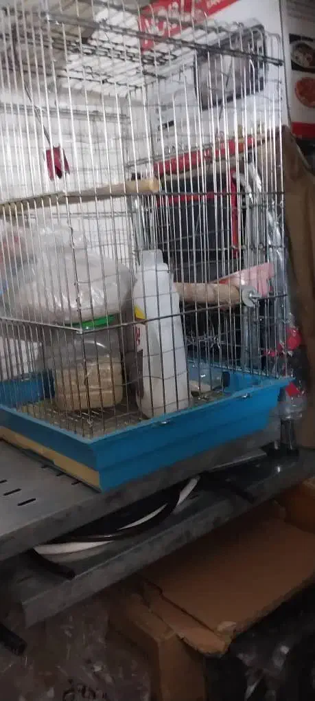 قفس پرنده|لوازم جانبی حیوانات|تهران, جوانمردان (اندیشه)|دیوار