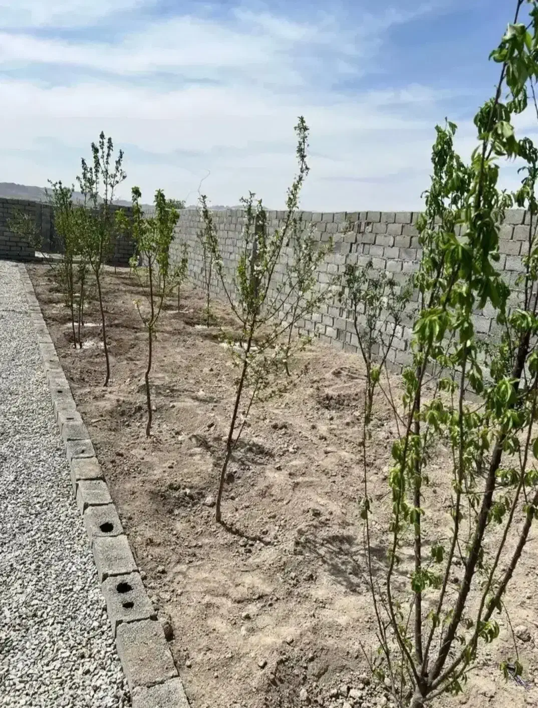 باغچه ویلا|فروش خانه و ویلا|رباط‌کریم, حصار مهتر|دیوار