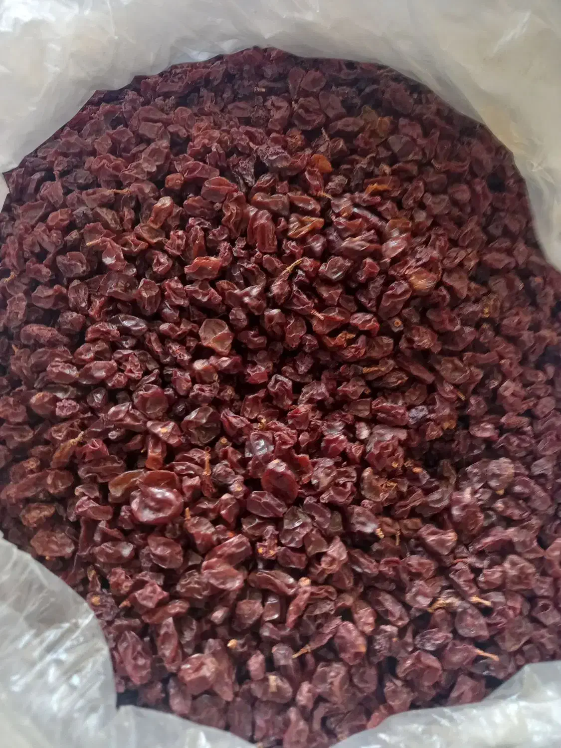 غوره کشمش|خوردنی و آشامیدنی|شیراز, تندگویان|دیوار