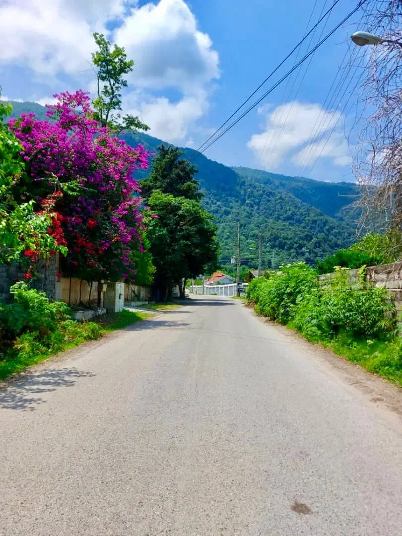۱۰۰۰مترزمین/با قابلیت تفکیک/شهرک پشتوان(کاسبی)|فروش زمین و ملک کلنگی|نوشهر, |دیوار