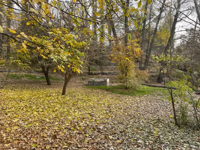 فروش زمین با جواز ساخت در اوشان|فروش زمین و ملک کلنگی|فشم, |دیوار