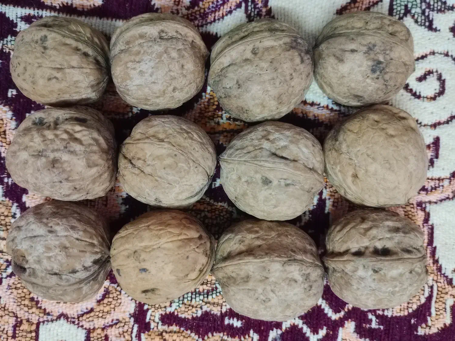 گردو محلی|خوردنی و آشامیدنی|چاف و چمخاله, |دیوار