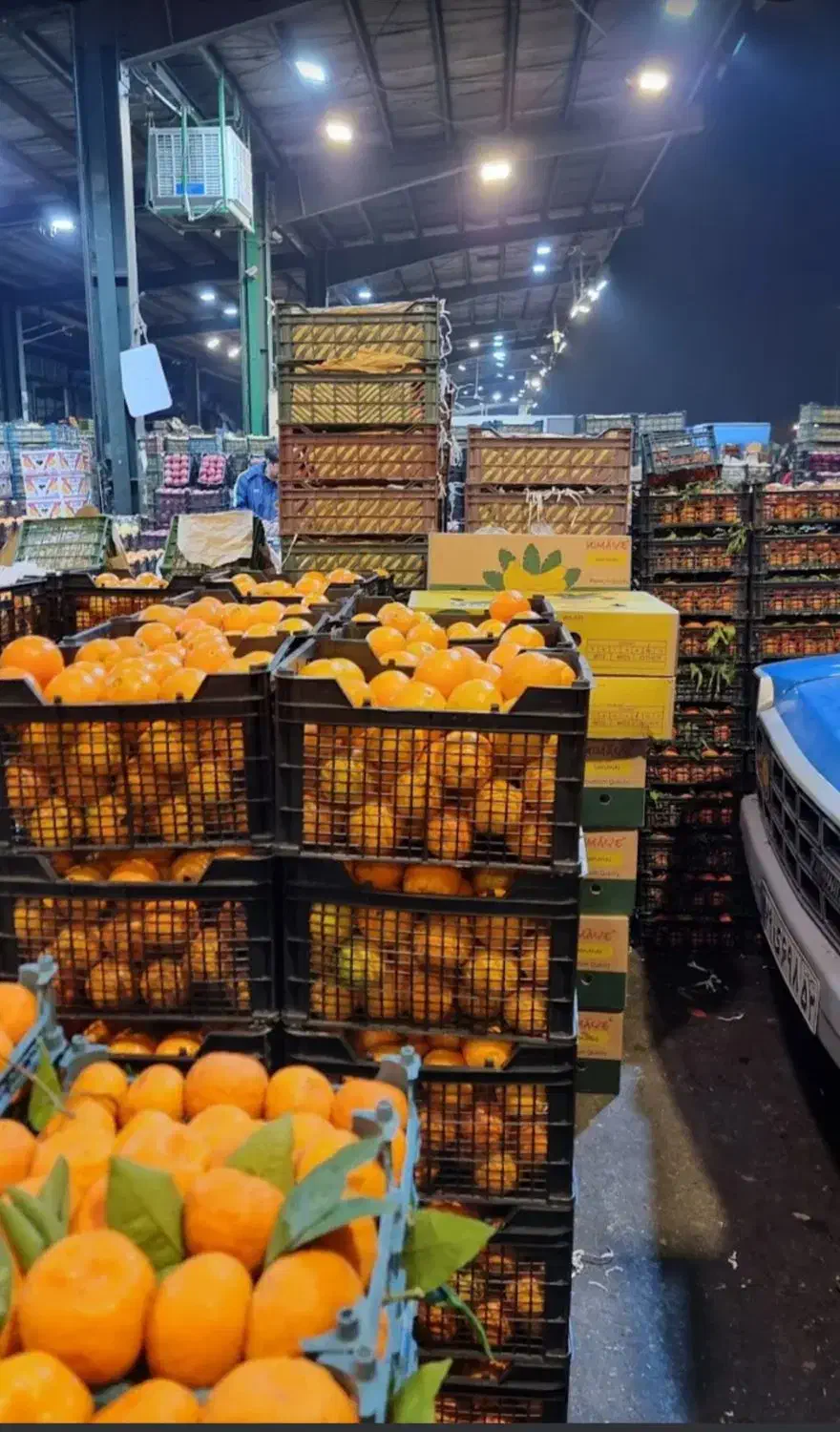 اجاره حجره در میدان تره بار مرکزی|اجارهٔ مغازه و غرفه|تهران, میدان میوه و تره‌بار مرکزی|دیوار