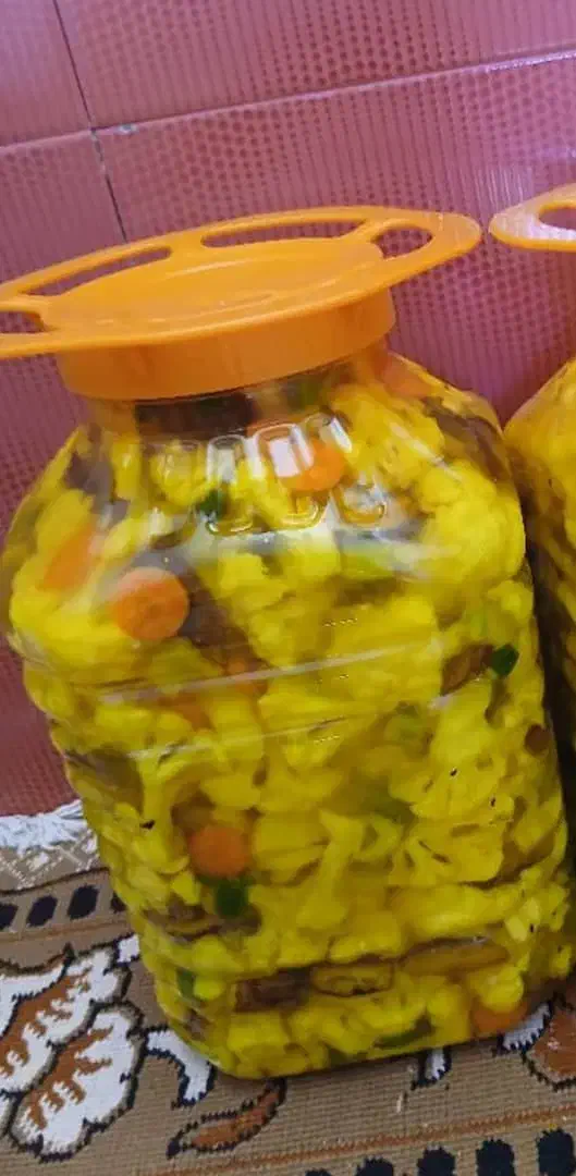 ترشی دست گیر تمیزوبهداشتی|عمدهفروشی|نوبندگان, |دیوار